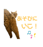 てんちゃんとぷっぷ（個別スタンプ：20）
