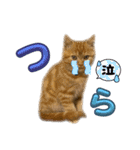 てんちゃんとぷっぷ（個別スタンプ：24）