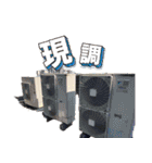 JPN第一弾（個別スタンプ：38）