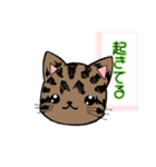 かわいい猫にゃ（個別スタンプ：27）