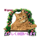 M cats love 4（個別スタンプ：6）