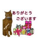 M cats love 4（個別スタンプ：24）