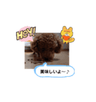 動く！茶色のといぷーさん3（個別スタンプ：15）