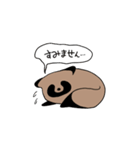 毎日たぬき（個別スタンプ：12）