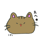 かっちぇてのネコたち（個別スタンプ：2）