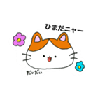 かっちぇてのネコたち（個別スタンプ：8）