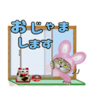 こすぷれいやーず【ウサギ・カエル編】（個別スタンプ：14）