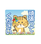 【動く】猫かぶりにゃんこ2（個別スタンプ：1）