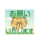 【動く】猫かぶりにゃんこ2（個別スタンプ：4）