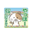 【動く】猫かぶりにゃんこ2（個別スタンプ：19）