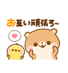 コツメカワウソとぴよこ♡毎日使える敬語（個別スタンプ：9）