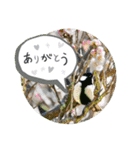 "ありがとう"を伝える《感謝の言葉》（個別スタンプ：4）