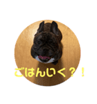 寅虎トラとら（個別スタンプ：3）