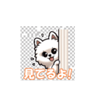 毎日の犬スタンプ（個別スタンプ：15）