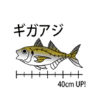 釣り人専用東京湾アジ釣り会話用スタンプ（個別スタンプ：21）