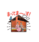 動くmakimao（個別スタンプ：13）