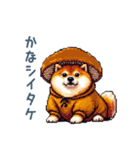 ダジャレ柴犬2【フルーツ・日常会話】（個別スタンプ：7）
