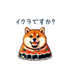 ダジャレ柴犬2【フルーツ・日常会話】（個別スタンプ：8）