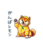 ダジャレ柴犬2【フルーツ・日常会話】（個別スタンプ：10）