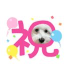 クゥとウル（個別スタンプ：16）