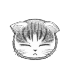 ペン画の顔だけ猫スタンプとおまけ（個別スタンプ：1）