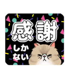 【ペルシャ猫】動く！ポップなPop-Up（個別スタンプ：7）