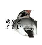 うめさくらい（個別スタンプ：11）