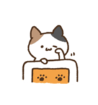 ゆるいみけねこ 文字なし（個別スタンプ：20）