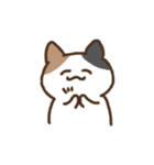 ゆるいみけねこ 文字なし（個別スタンプ：24）