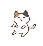 ゆるいみけねこ 文字なし（個別スタンプ：25）