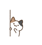 ゆるいみけねこ 文字なし（個別スタンプ：29）