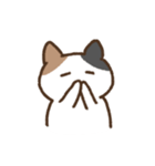 ゆるいみけねこ 文字なし（個別スタンプ：39）