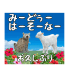 八重山方言大好き、沖縄行きたい15。（個別スタンプ：4）