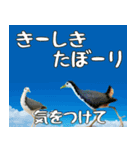 八重山方言大好き、沖縄行きたい15。（個別スタンプ：12）