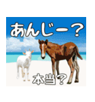 八重山方言大好き、沖縄行きたい15。（個別スタンプ：15）