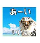 八重山方言大好き、沖縄行きたい15。（個別スタンプ：26）