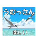 八重山方言大好き、沖縄行きたい15。（個別スタンプ：33）