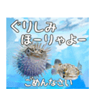 八重山方言大好き、沖縄行きたい15。（個別スタンプ：35）