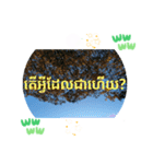 カンボジアクメール語コーピッチの日常会話（個別スタンプ：5）