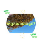 カンボジアクメール語コーピッチの日常会話（個別スタンプ：7）