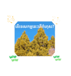 カンボジアクメール語コーピッチの日常会話（個別スタンプ：38）