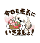 ロン毛ちゃんシーズー犬（個別スタンプ：6）