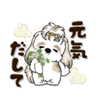 ロン毛ちゃんシーズー犬（個別スタンプ：8）