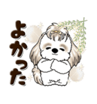 ロン毛ちゃんシーズー犬（個別スタンプ：21）