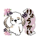 ロン毛ちゃんシーズー犬（個別スタンプ：25）