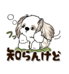 ロン毛ちゃんシーズー犬（個別スタンプ：28）