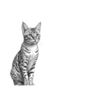 AI・モノクロ猫③(言葉なし)（個別スタンプ：5）