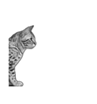 AI・モノクロ猫③(言葉なし)（個別スタンプ：14）