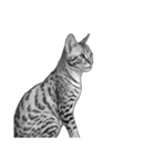 AI・モノクロ猫③(言葉なし)（個別スタンプ：18）