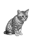AI・モノクロ猫③(言葉なし)（個別スタンプ：22）